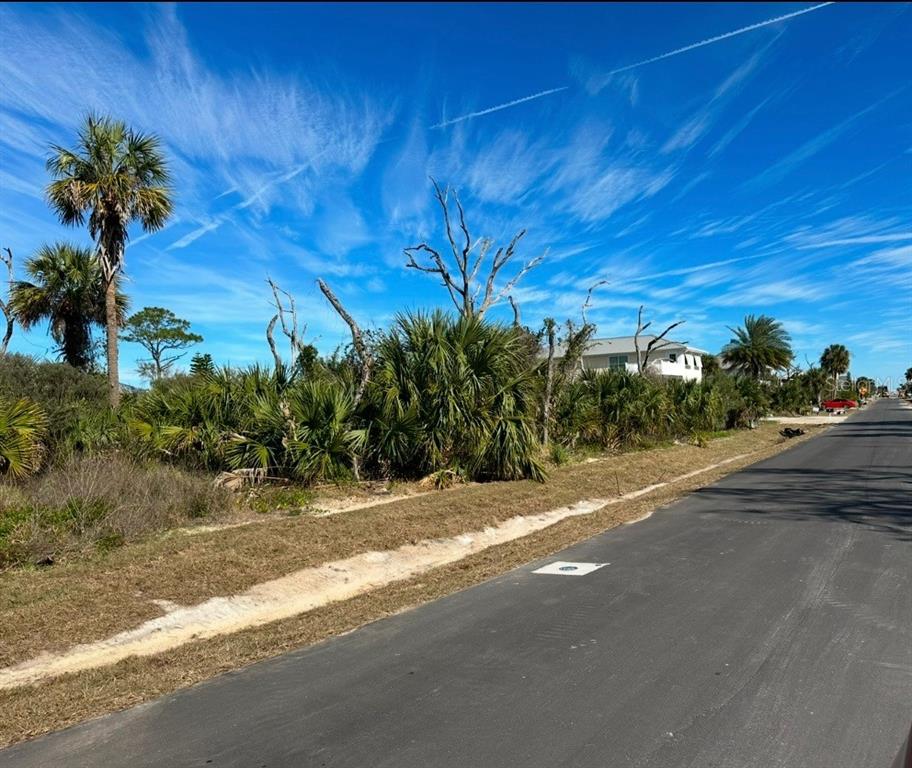 Flagler Ave view