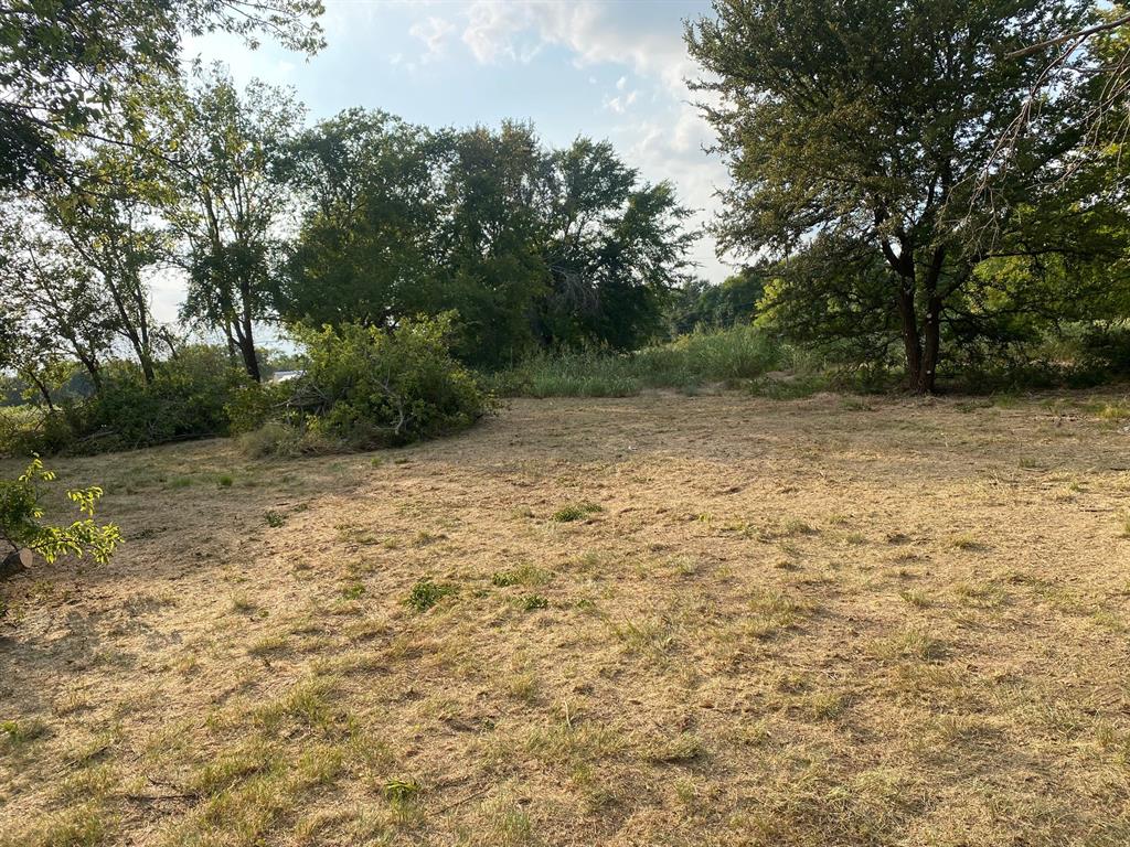 a view of backyard with green space