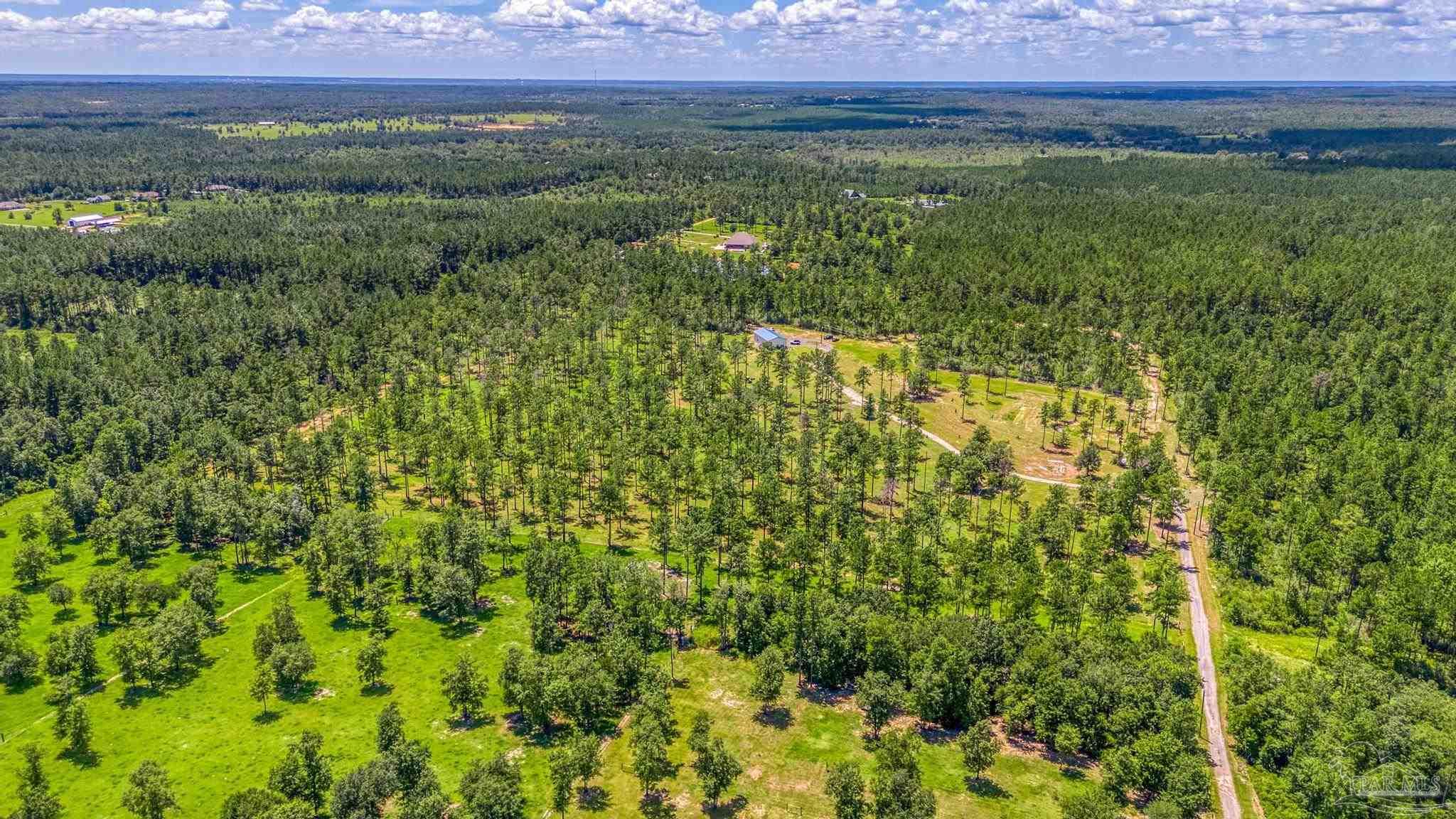 a view of a lush green field