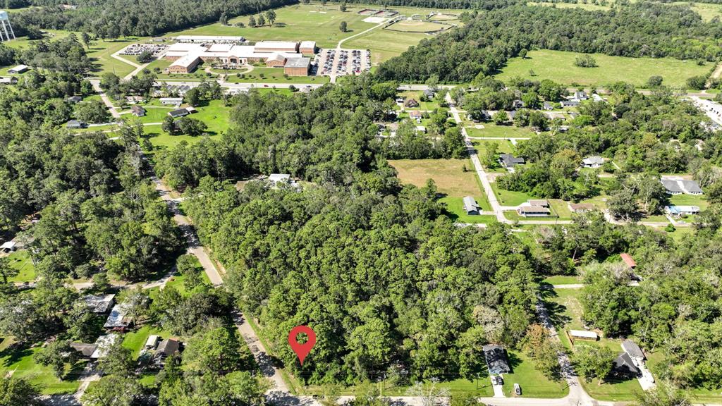 a view of a large yard with lots of trees