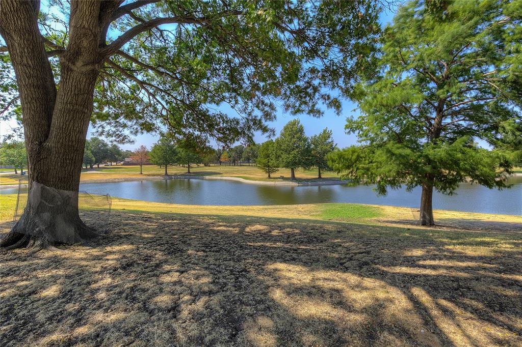 a view of a lake with a tree