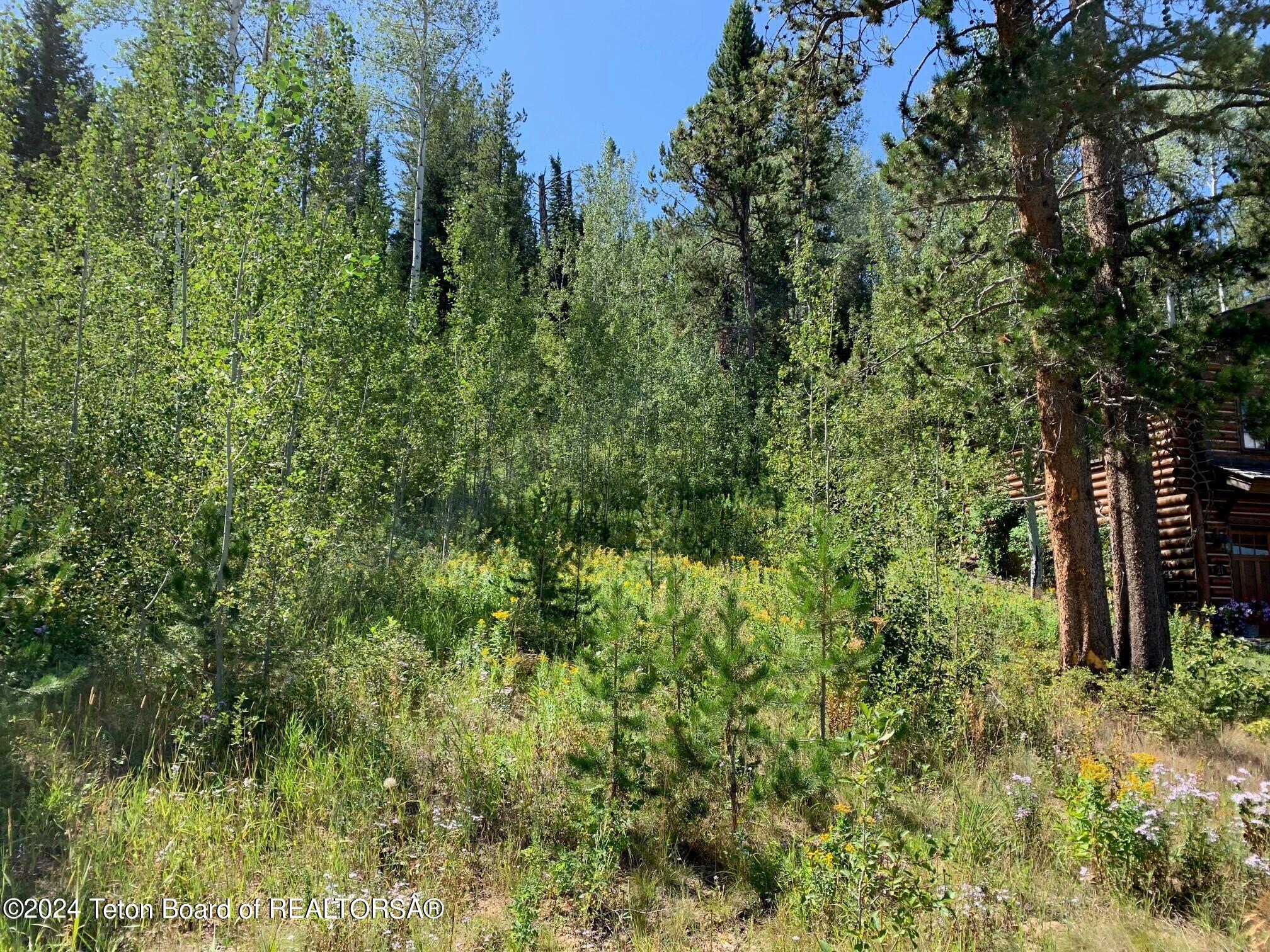 Cabin Site from front