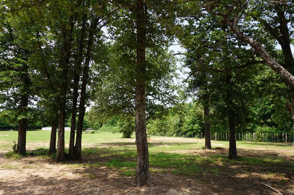 a view of an outdoor space with yard