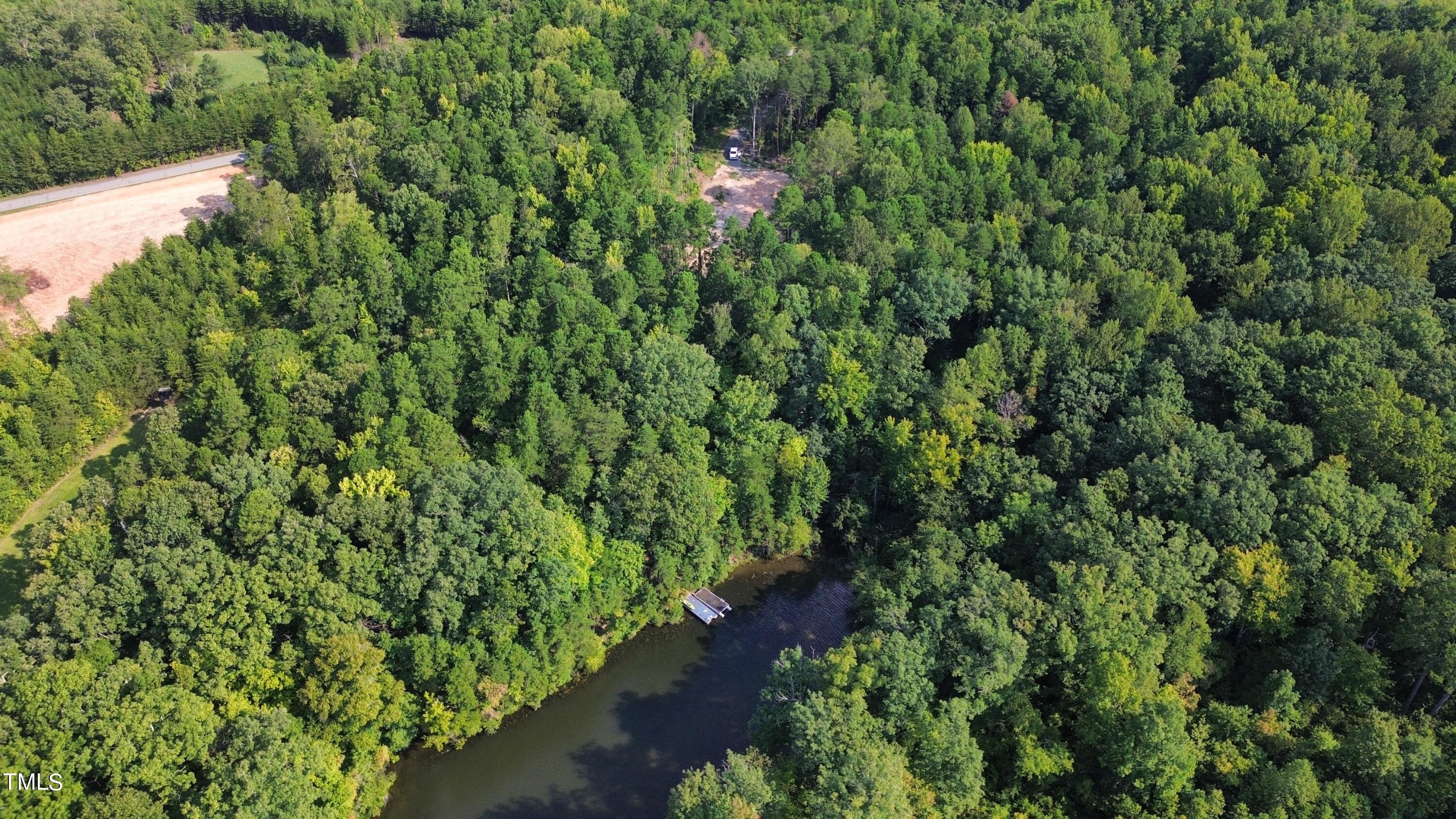 a view of a forest with a tree