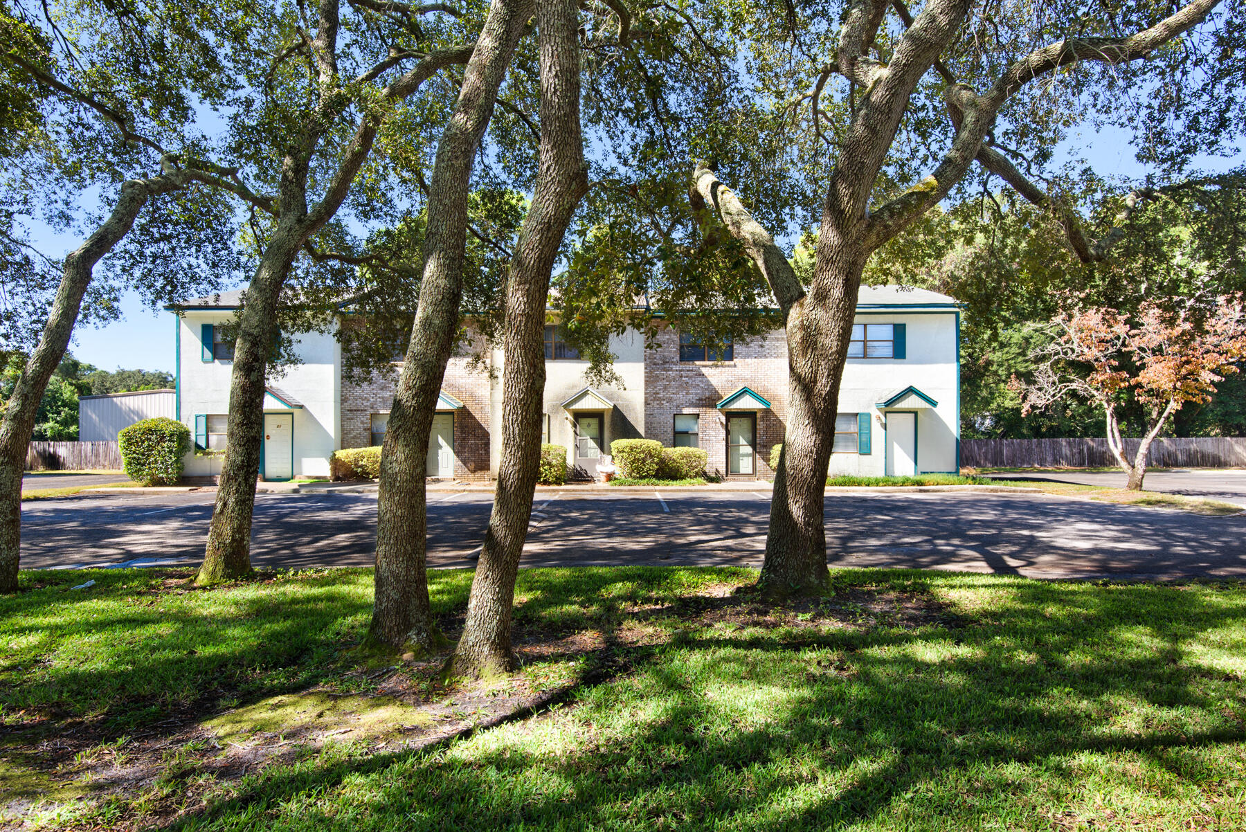 a view of a yard with plants and trees