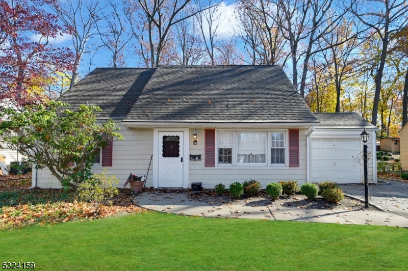 a front view of house with a garden