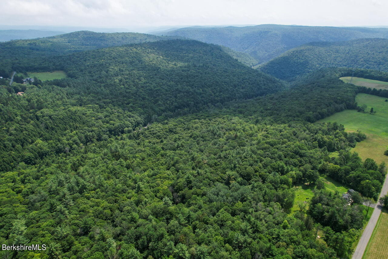 a view of a green field with lots of bushes