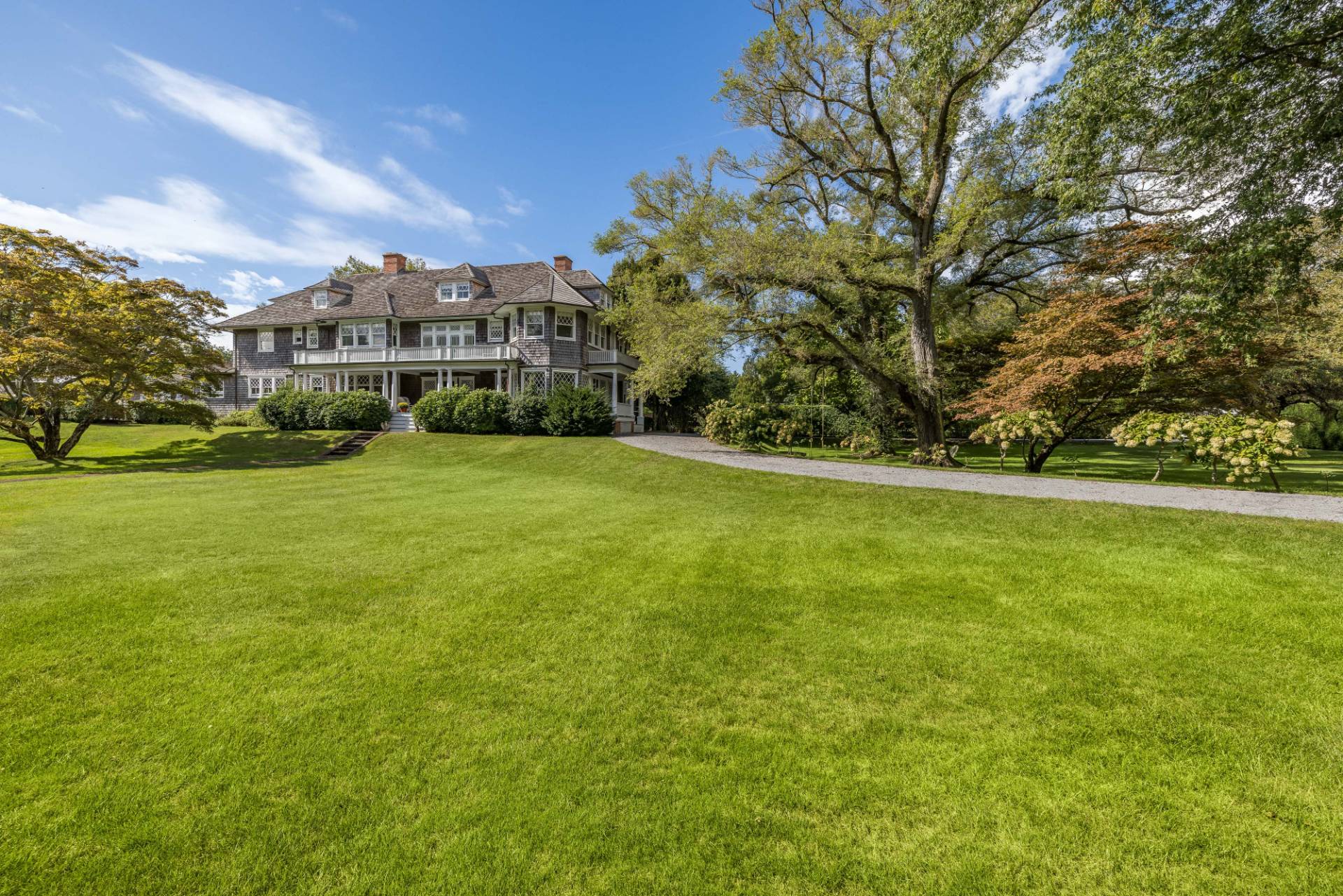 a view of a big yard with large trees