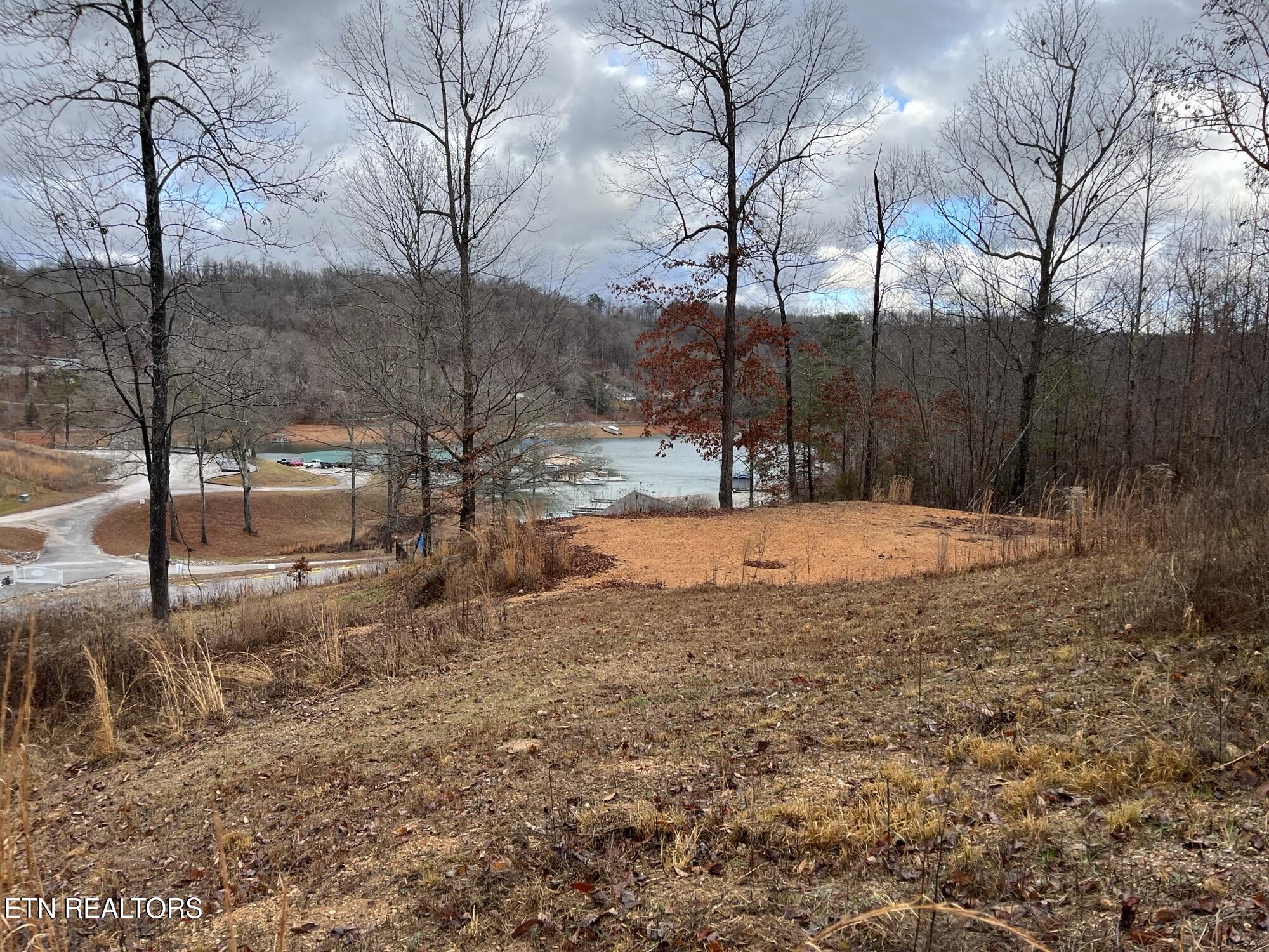 Sun Crest Cove Lot 211 & 212 (5)