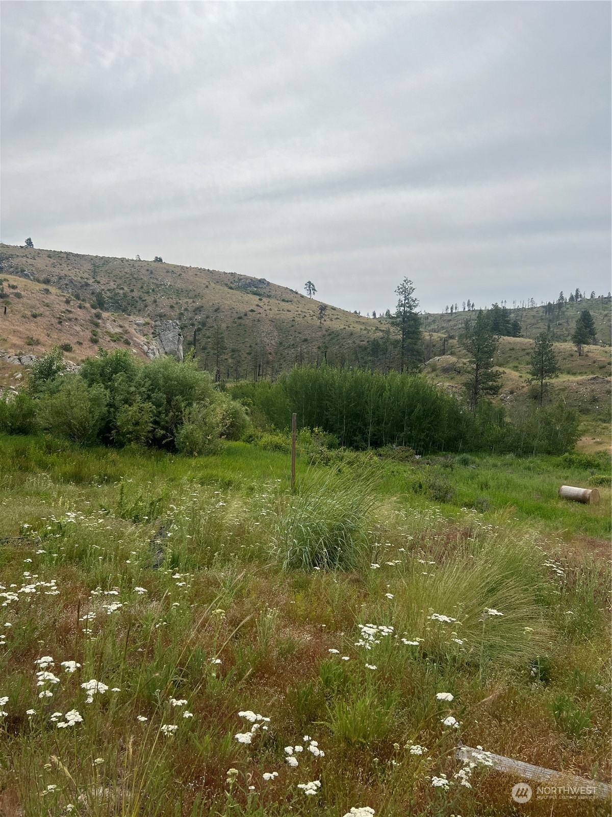 a view of a field with an ocean and mountain view