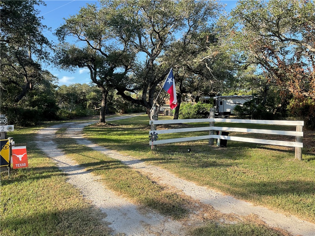 a view of a park with large trees