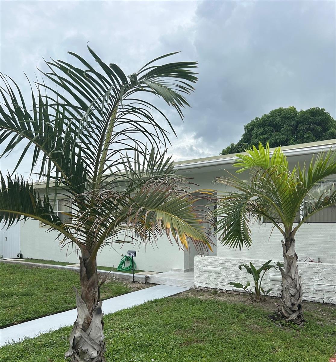 a view of outdoor space with garden