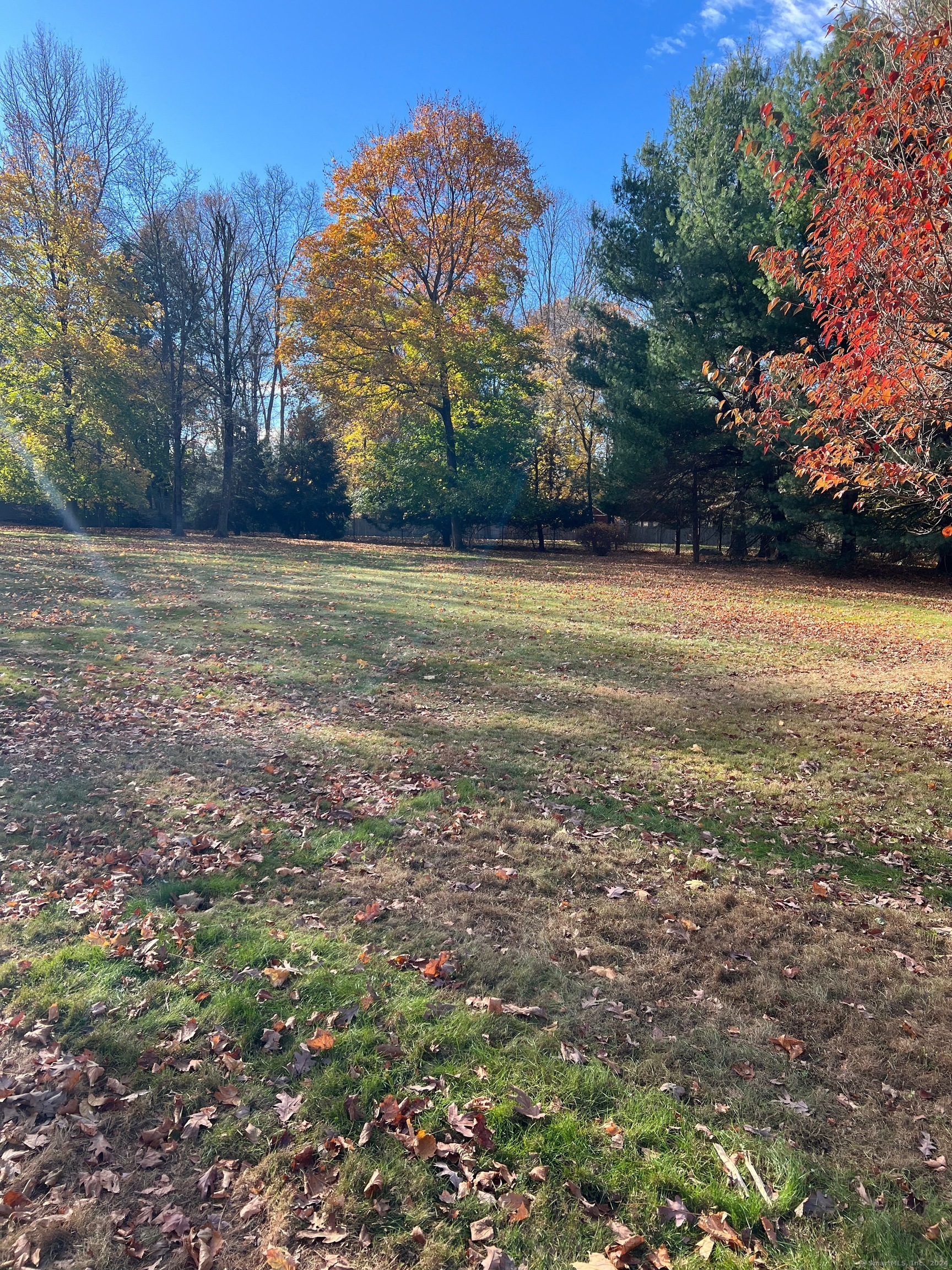 a view of a field with an trees