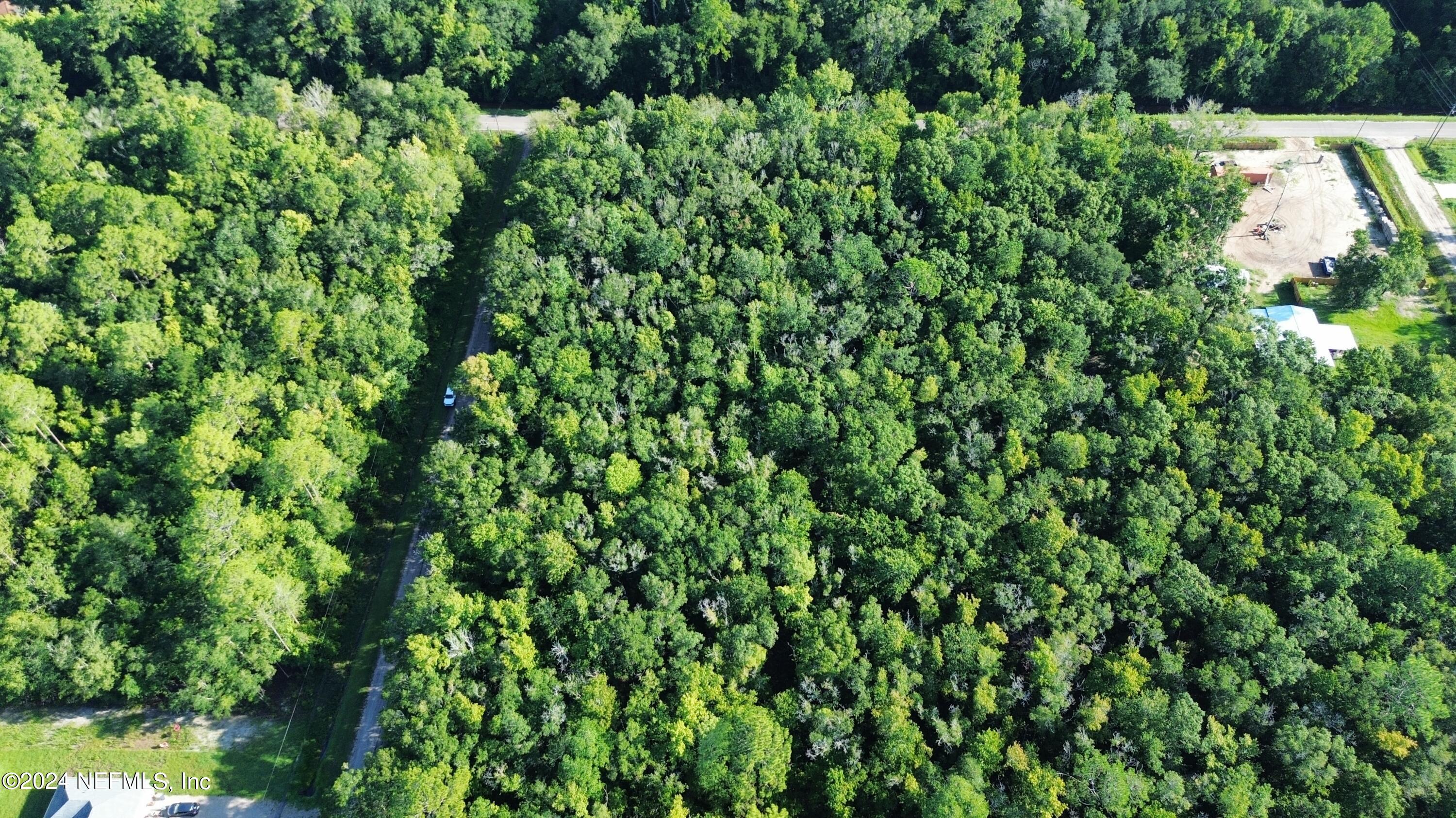 a view of a lush green forest