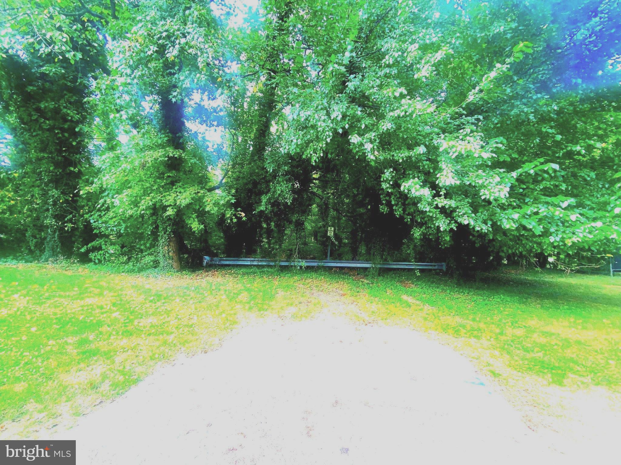 a view of a trees with a yard