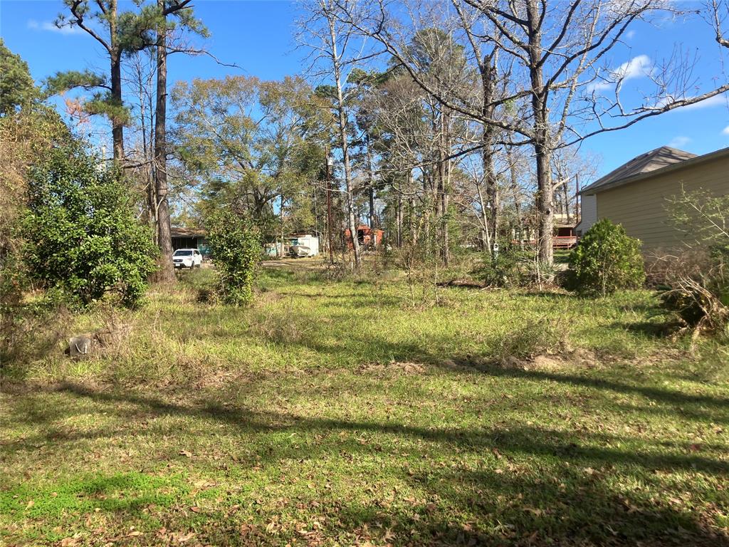 a view of a yard with yellow house