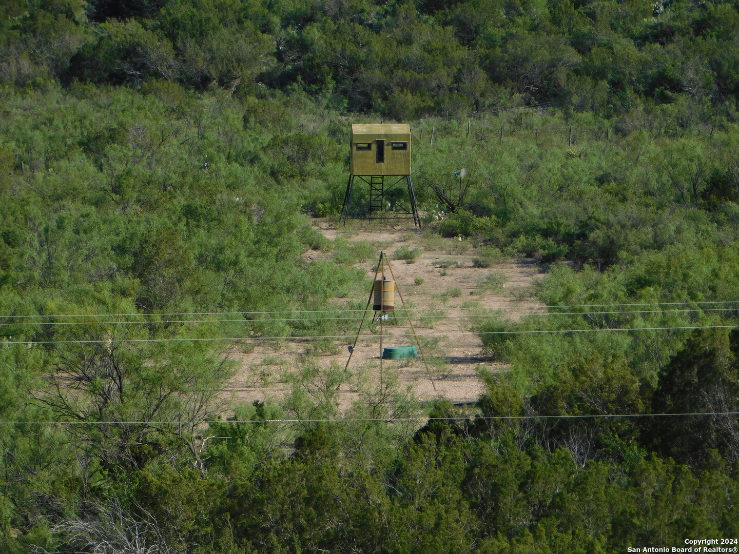 a view of a garden with a pathway