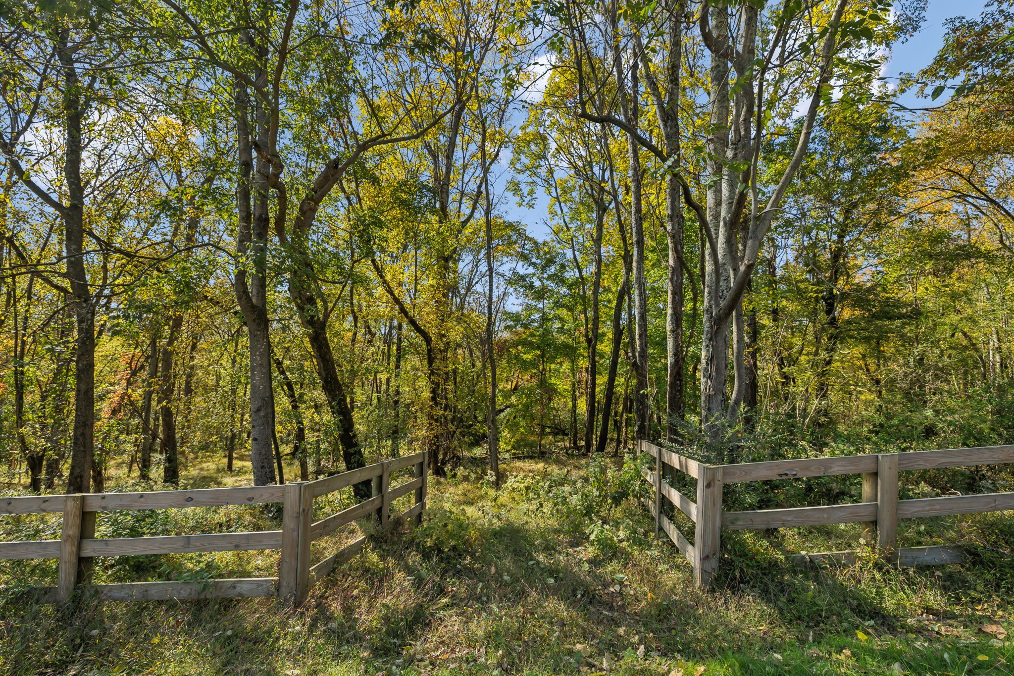 a view of outdoor space and yard