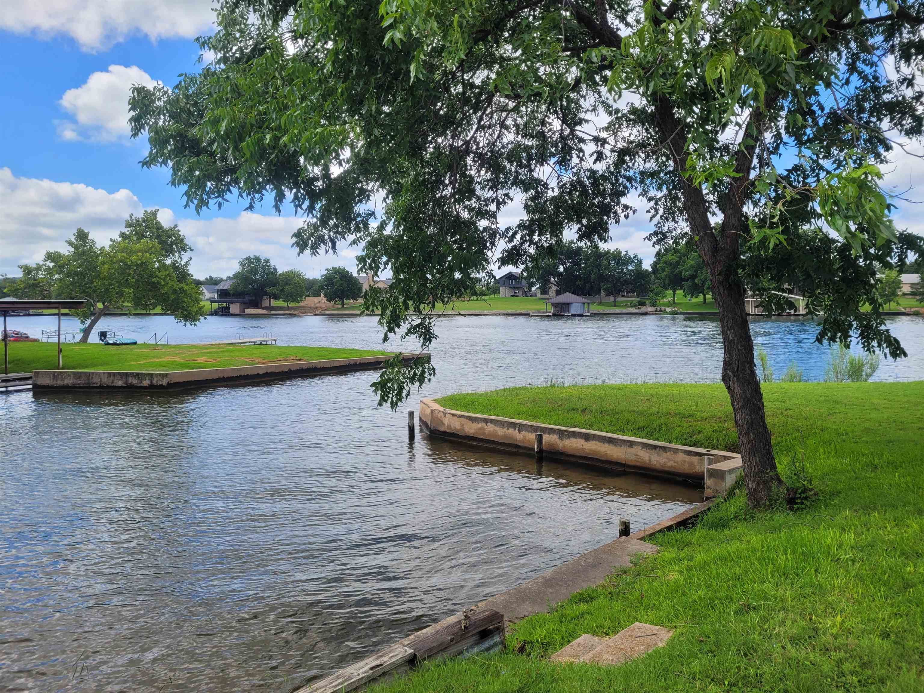 a view of a park with large trees