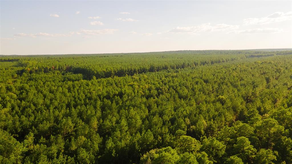 a view of a field of grass and trees