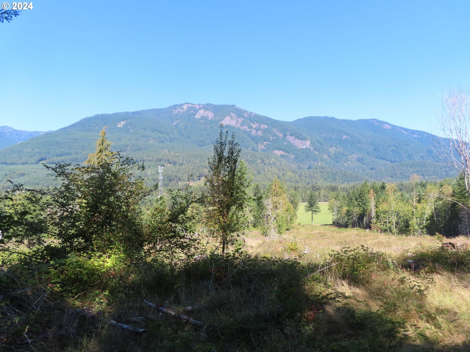 a view of a house with a mountain