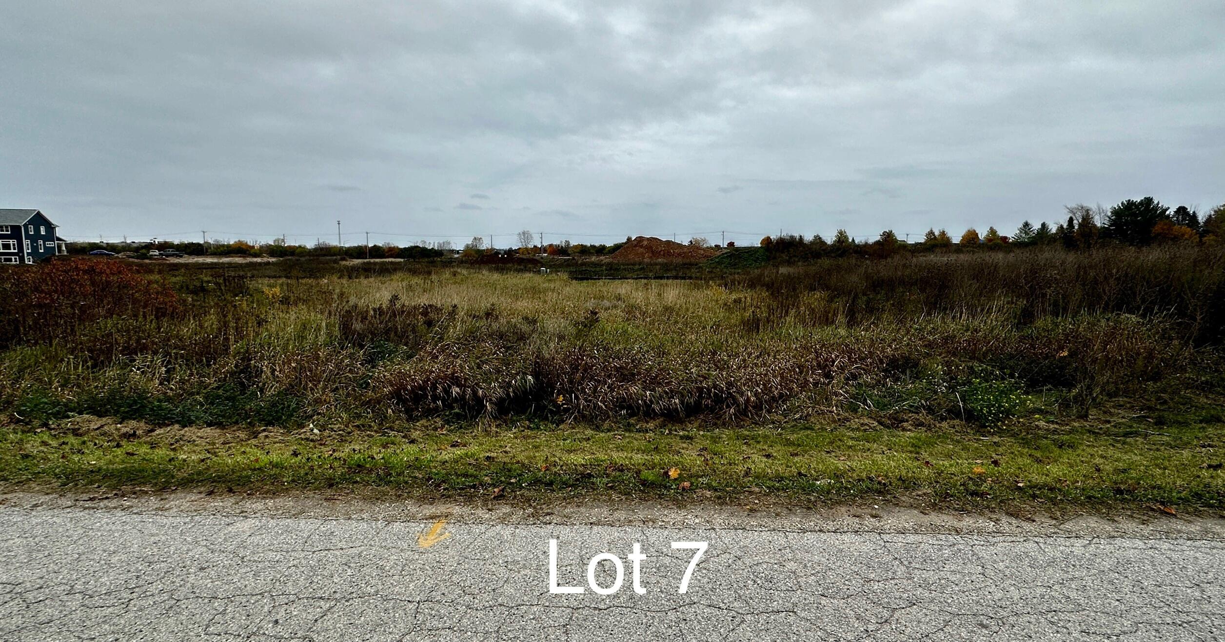 Lot 7