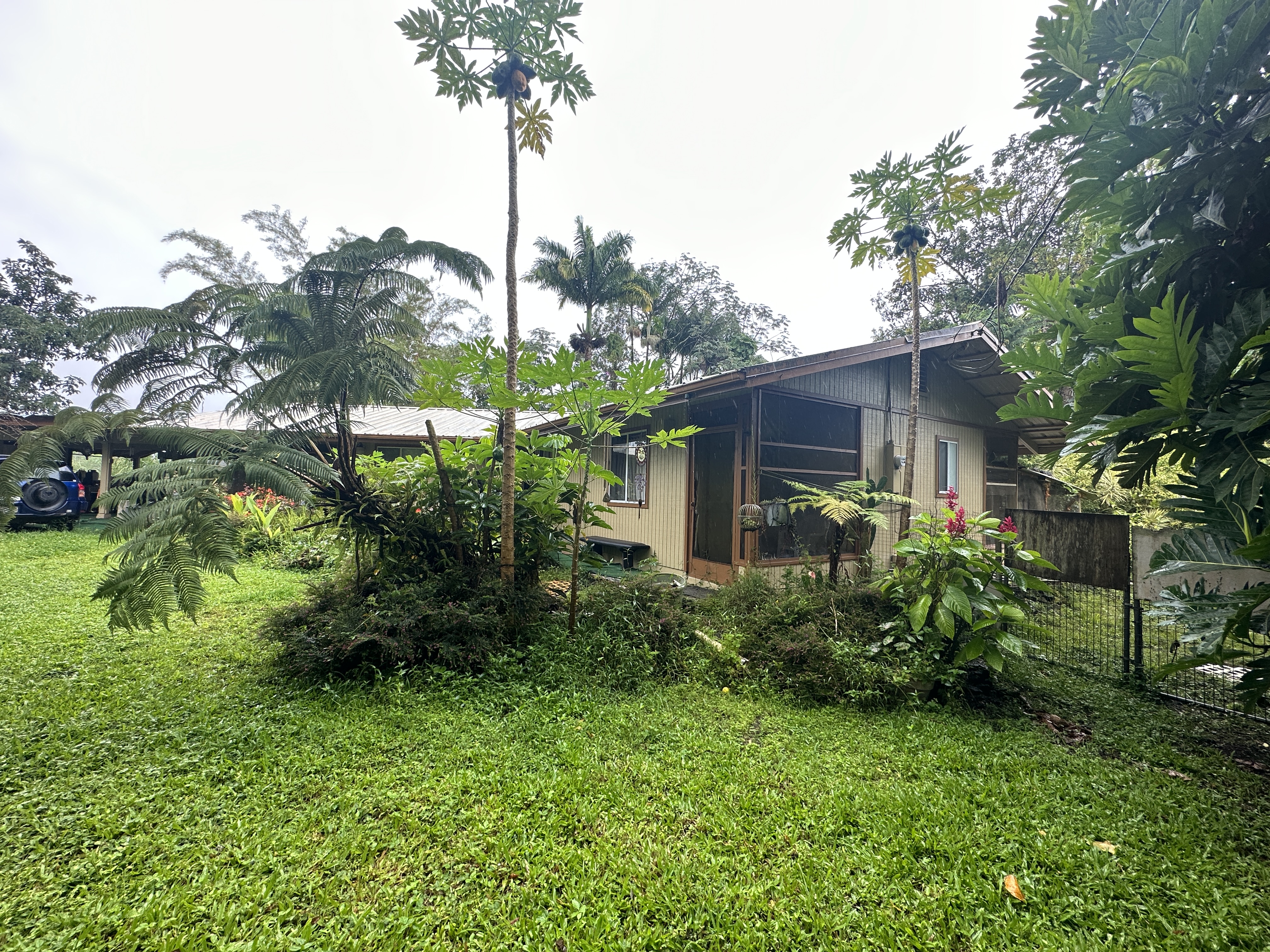 a view of a garden in front of a house