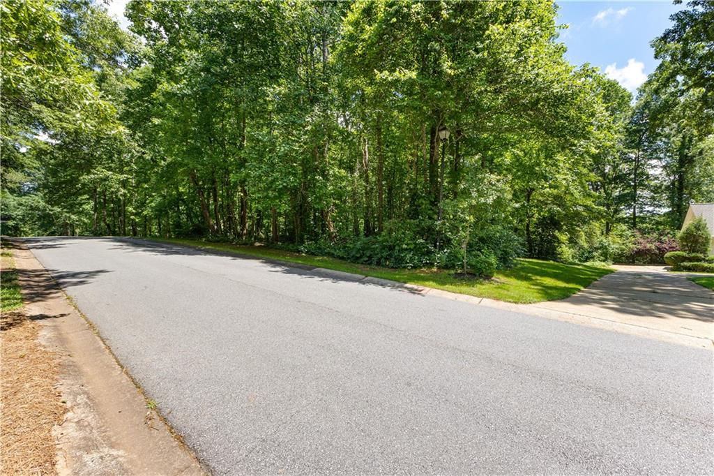 a view of a road with a yard