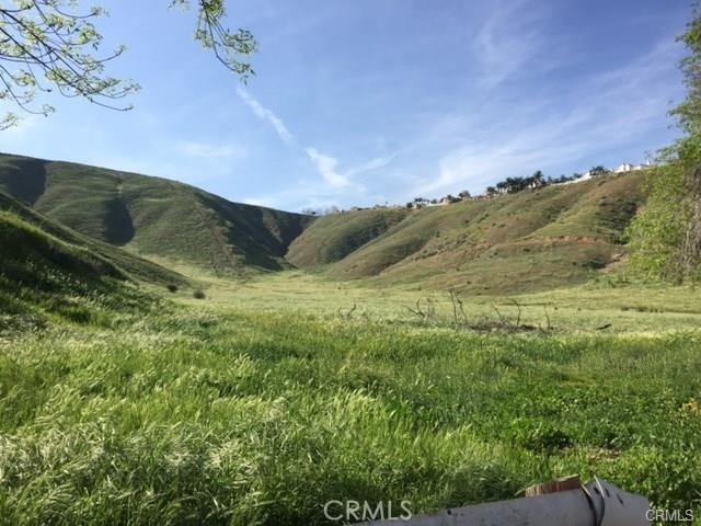 a view of a lush green forest with mountains in the background