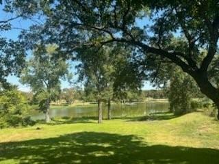 a view of a yard with a trees