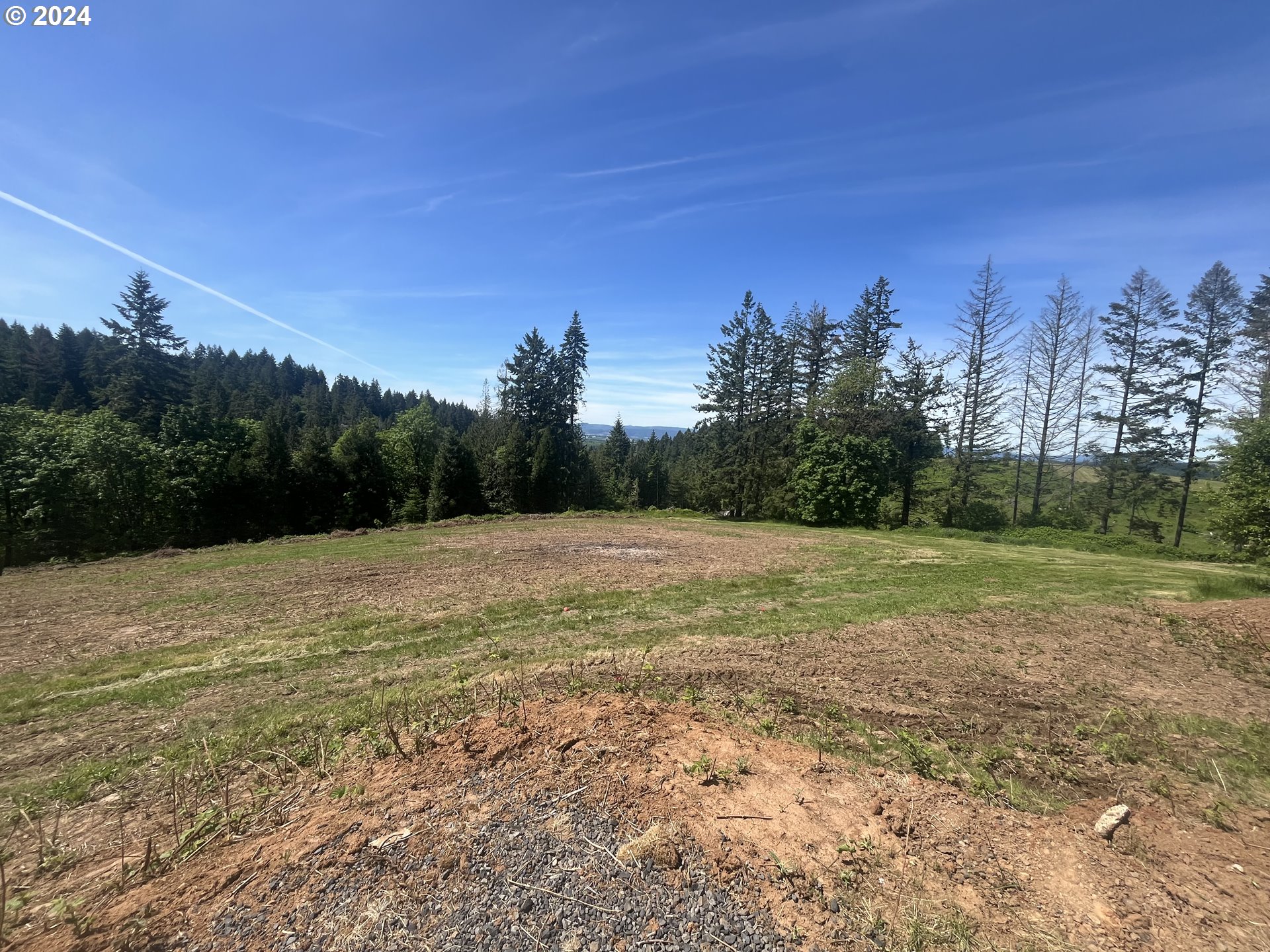 a view of a field with trees in background