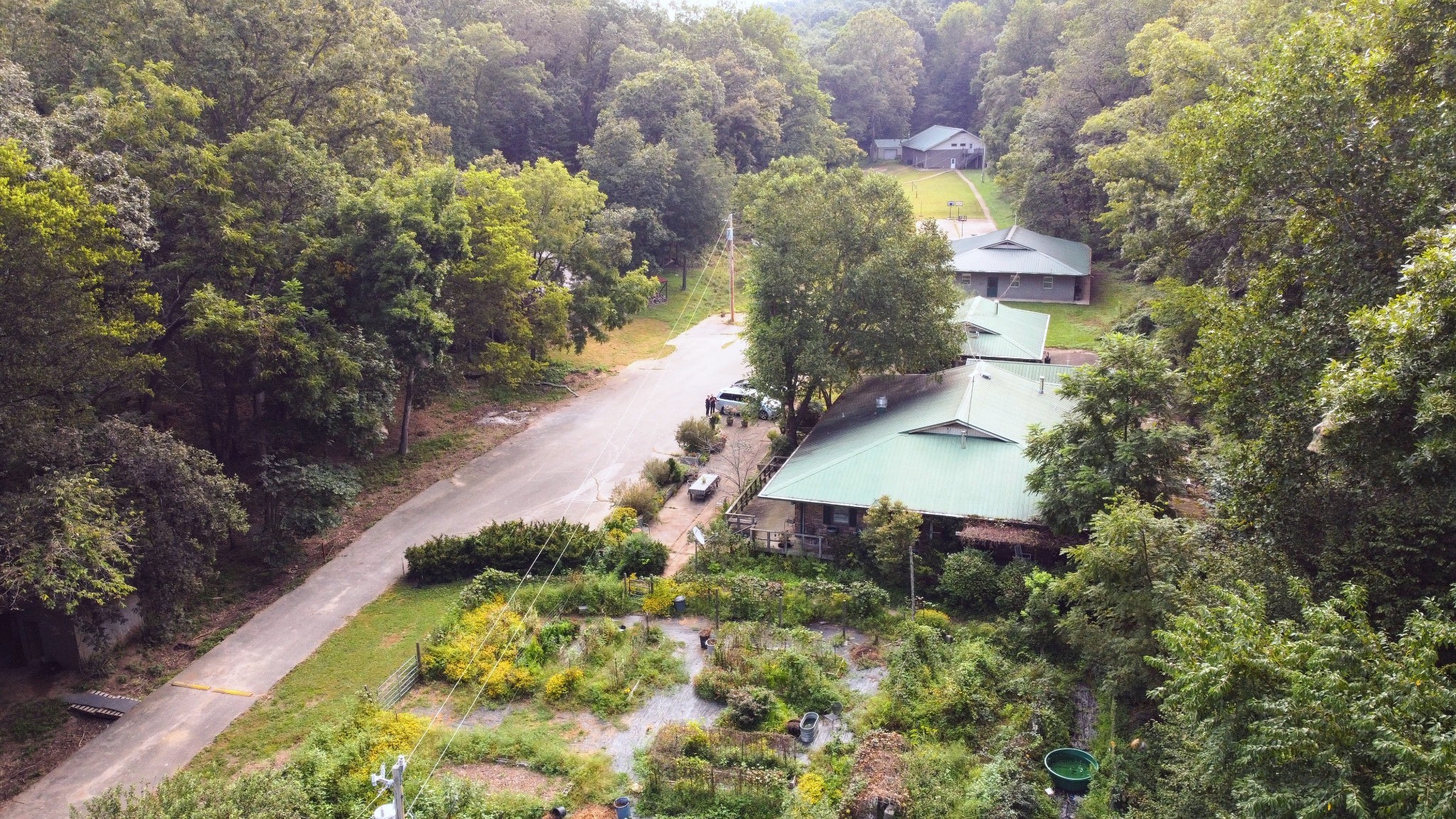 a view of a house with a yard and a large tree