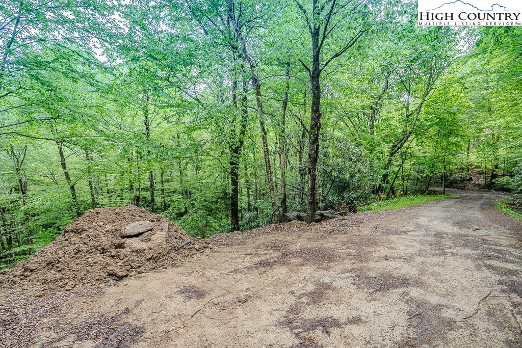 a view of a yard with large trees