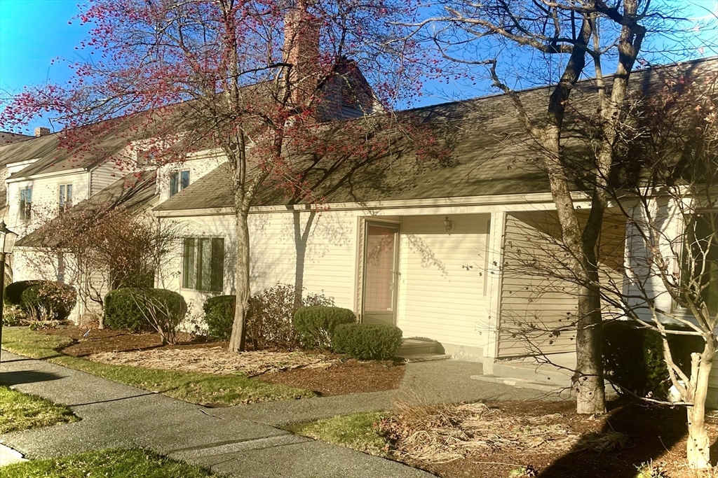 a view of a backyard of the house