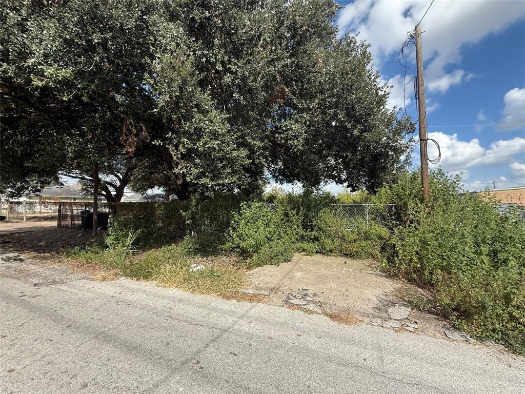 a view of a yard with plants and trees