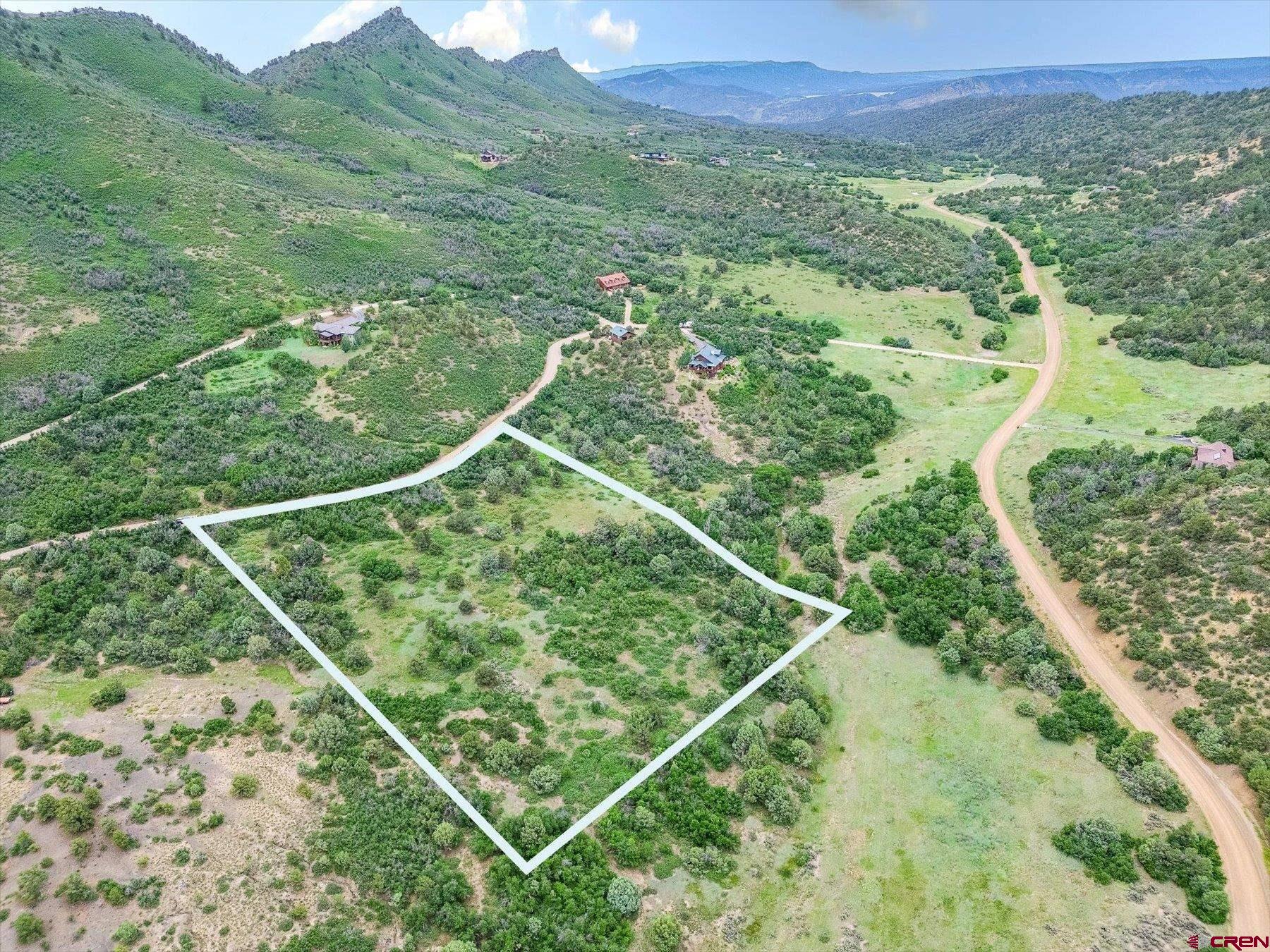 a view of a lush green forest with a mountain