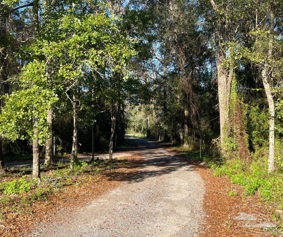 a view of road with trees