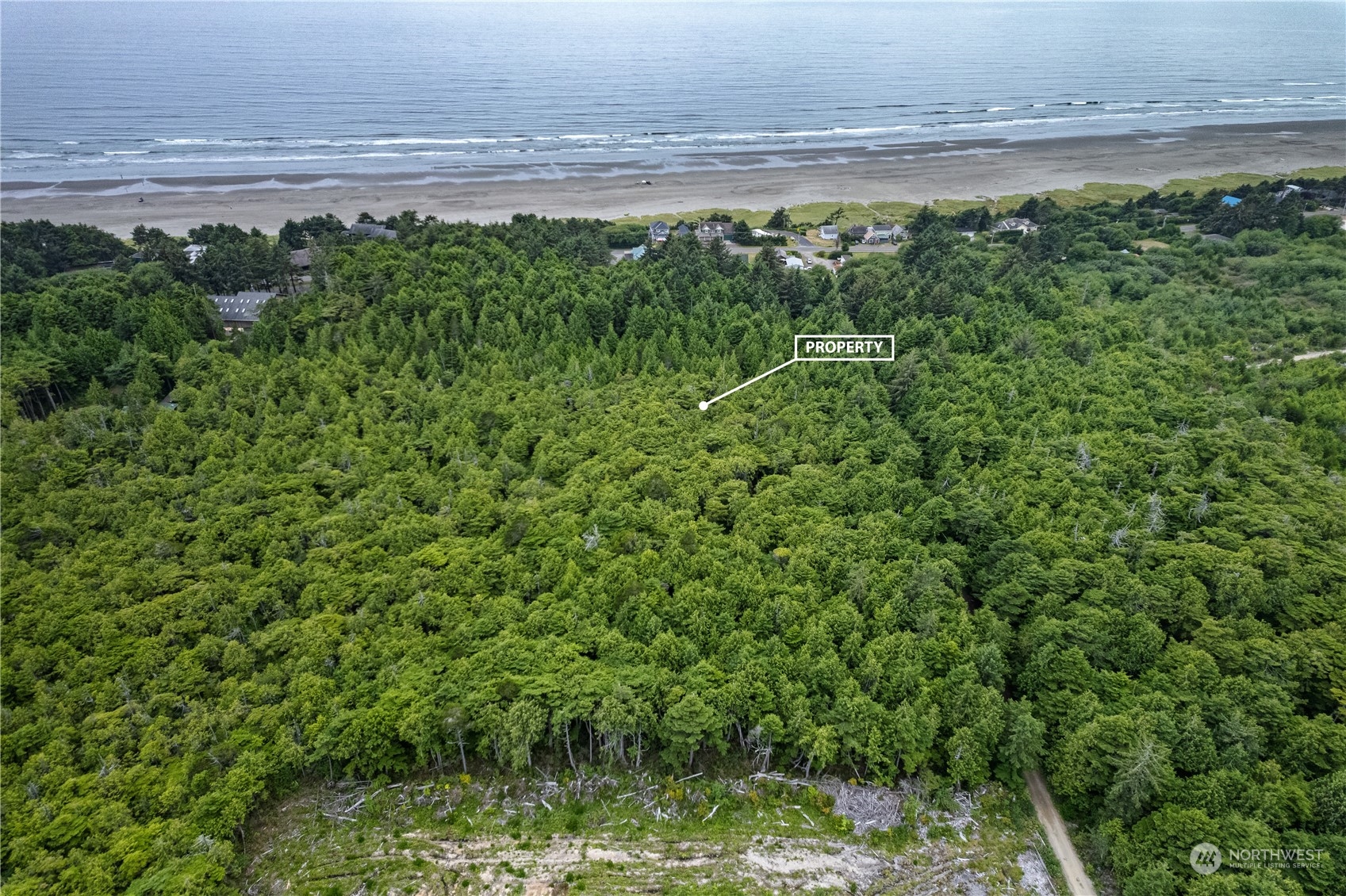 a view of a field with an ocean view