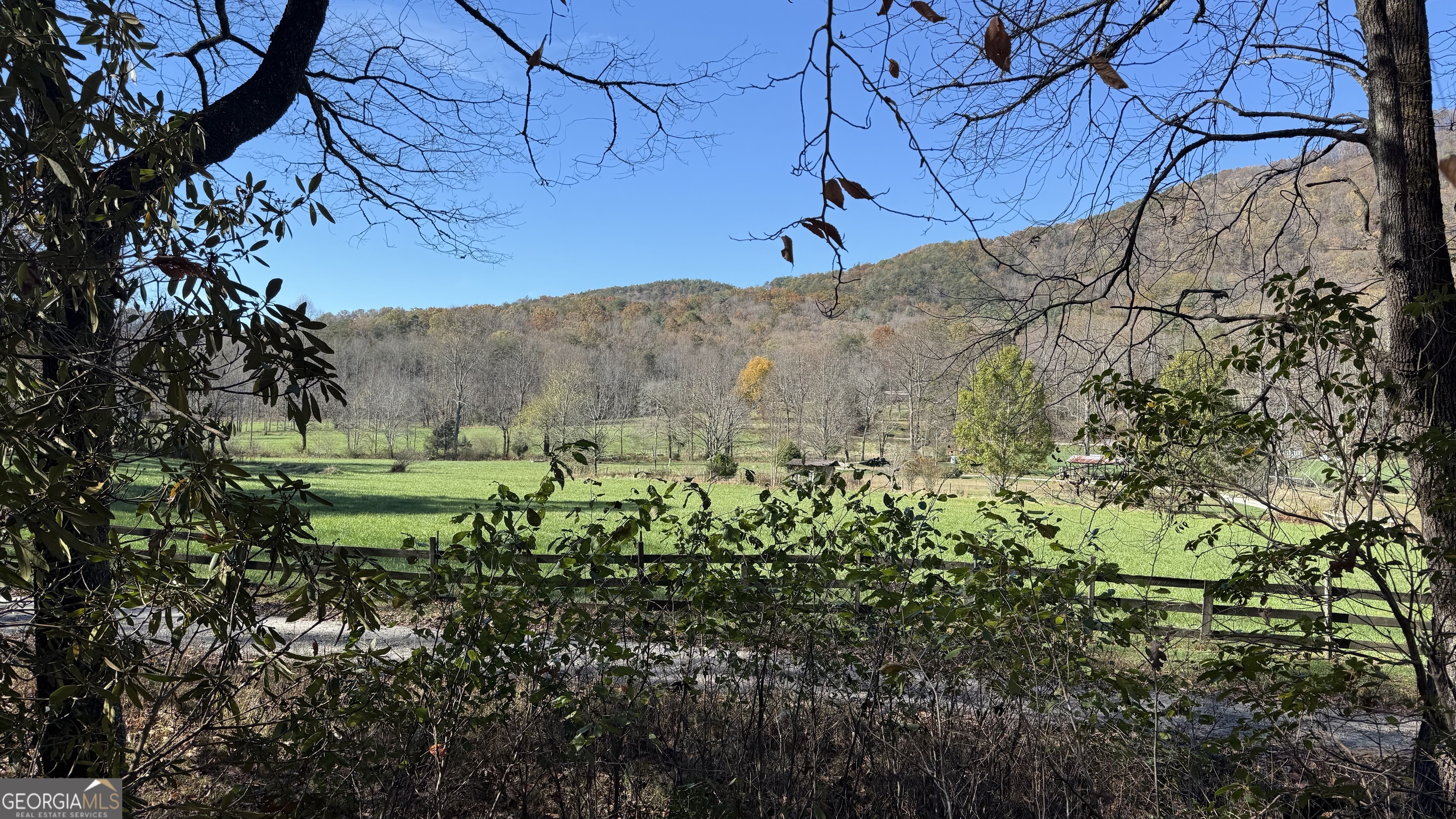 a view of a backyard