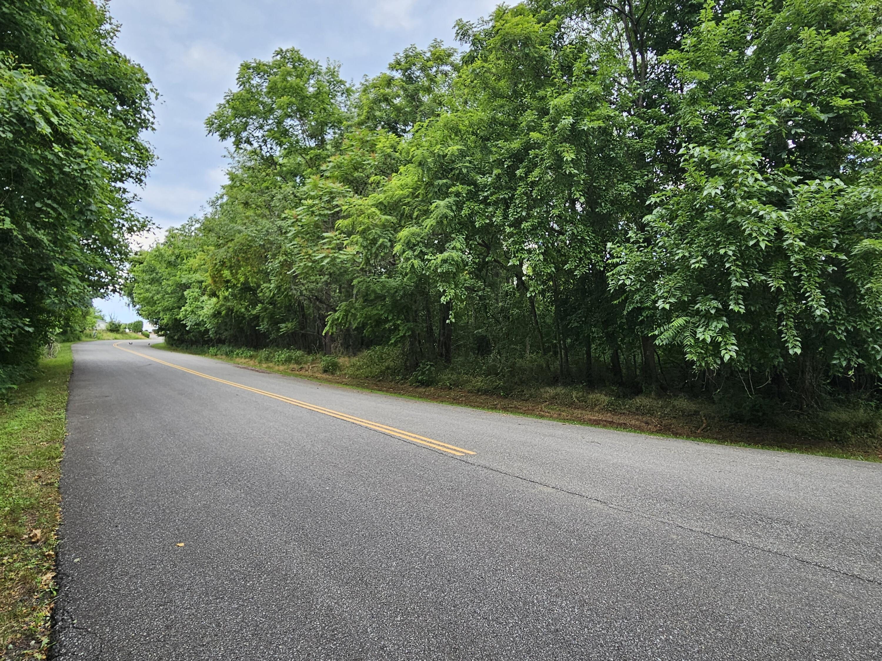 a view of a field with trees in background