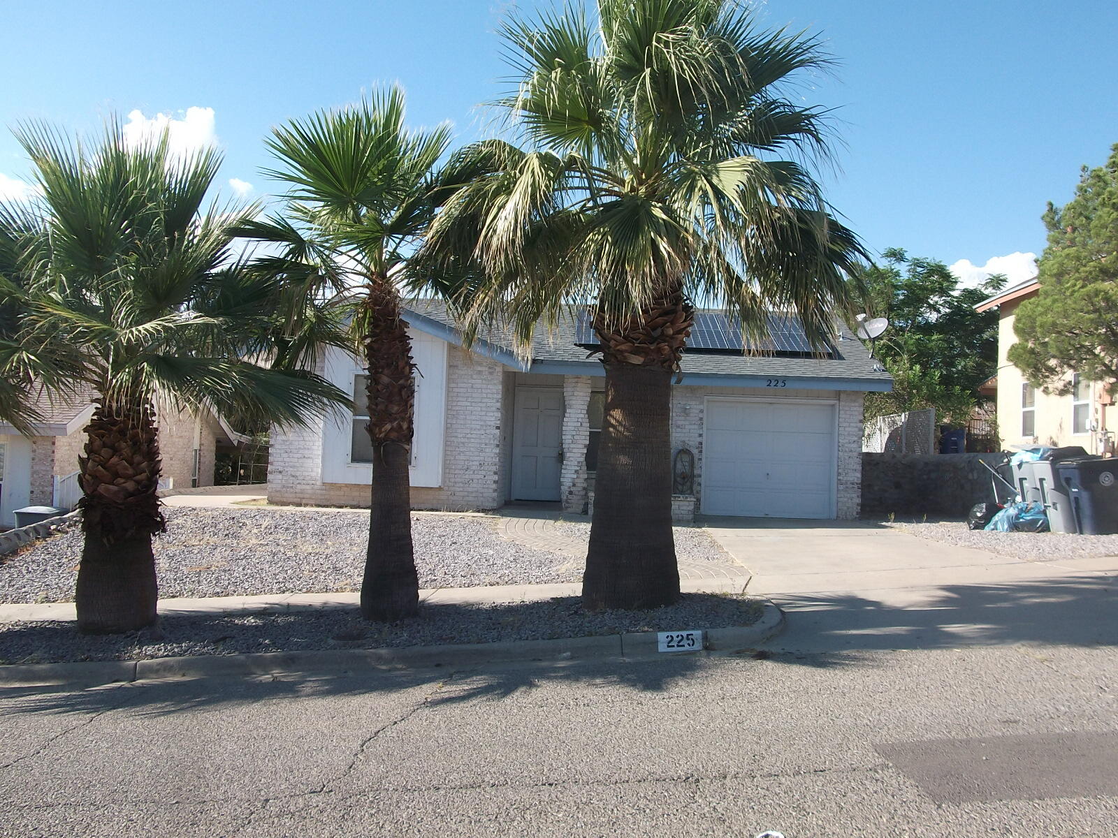 a view of a yard and a trees