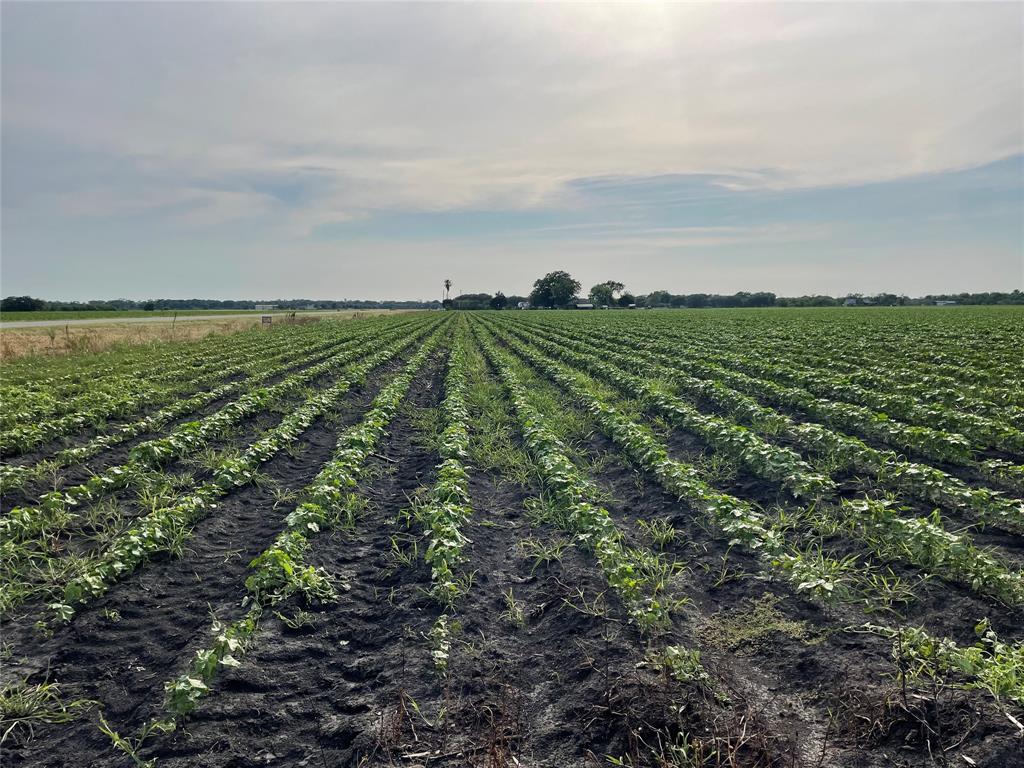 a view of a field with an ocean