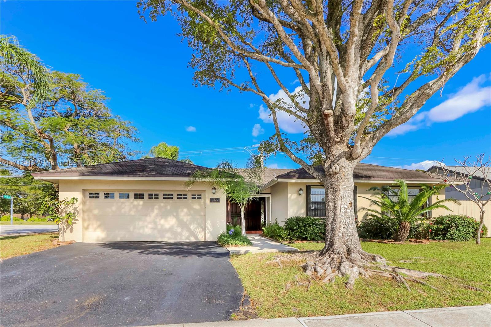 a view of a house with a tree in front of it