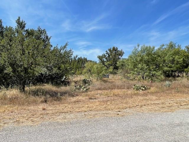 a view of a yard with a tree