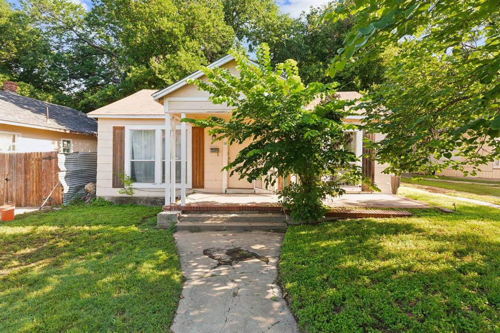 a backyard of a house with plants and large tree