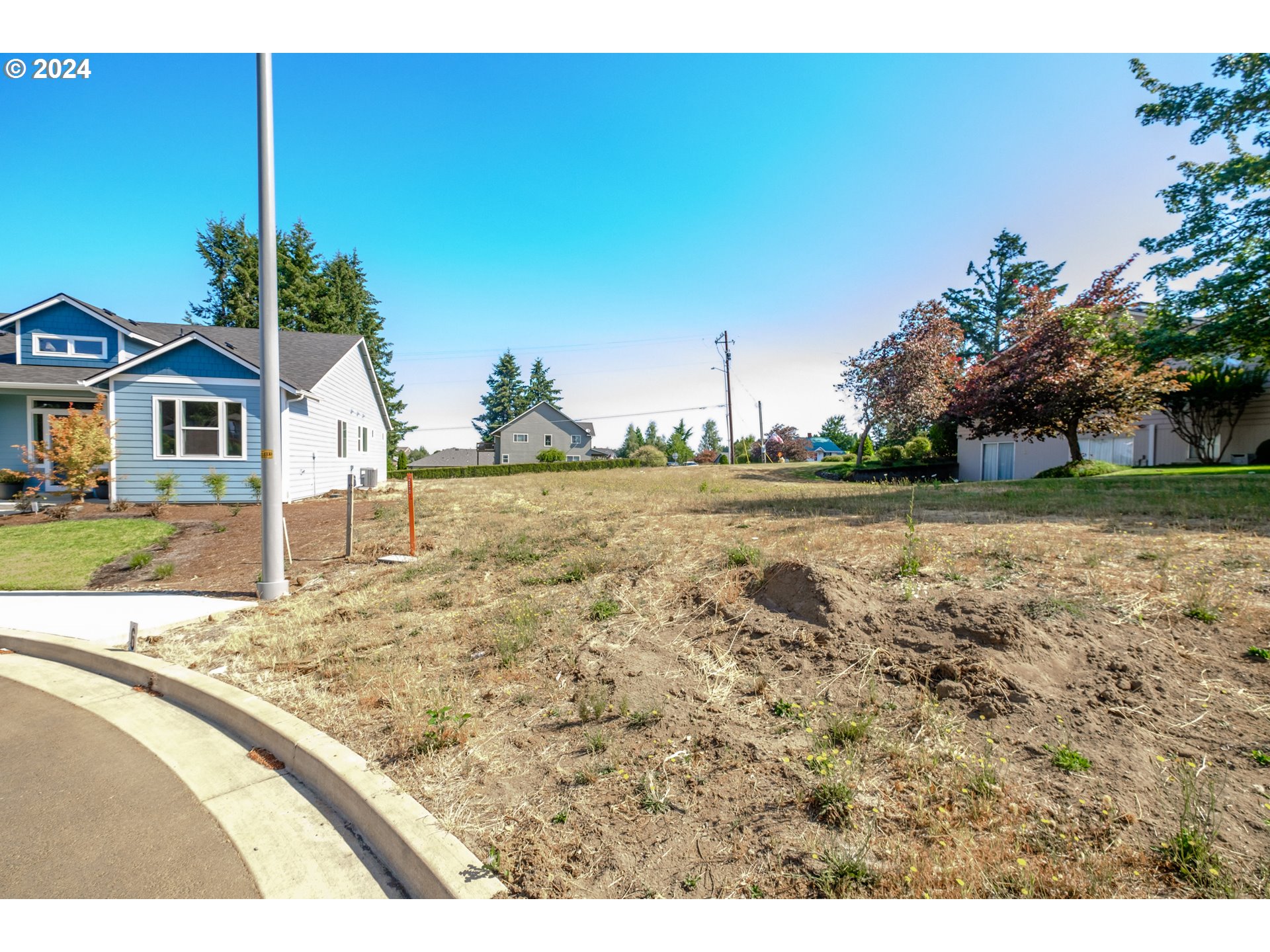 a view of a yard in front of a house