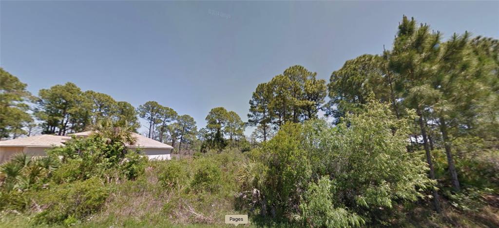 a view of a house with a lush green forest