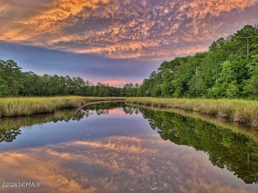 creek reflection