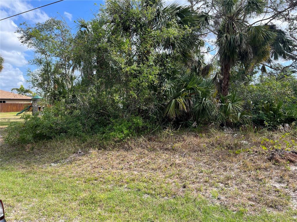 a view of a yard with plants and a tree