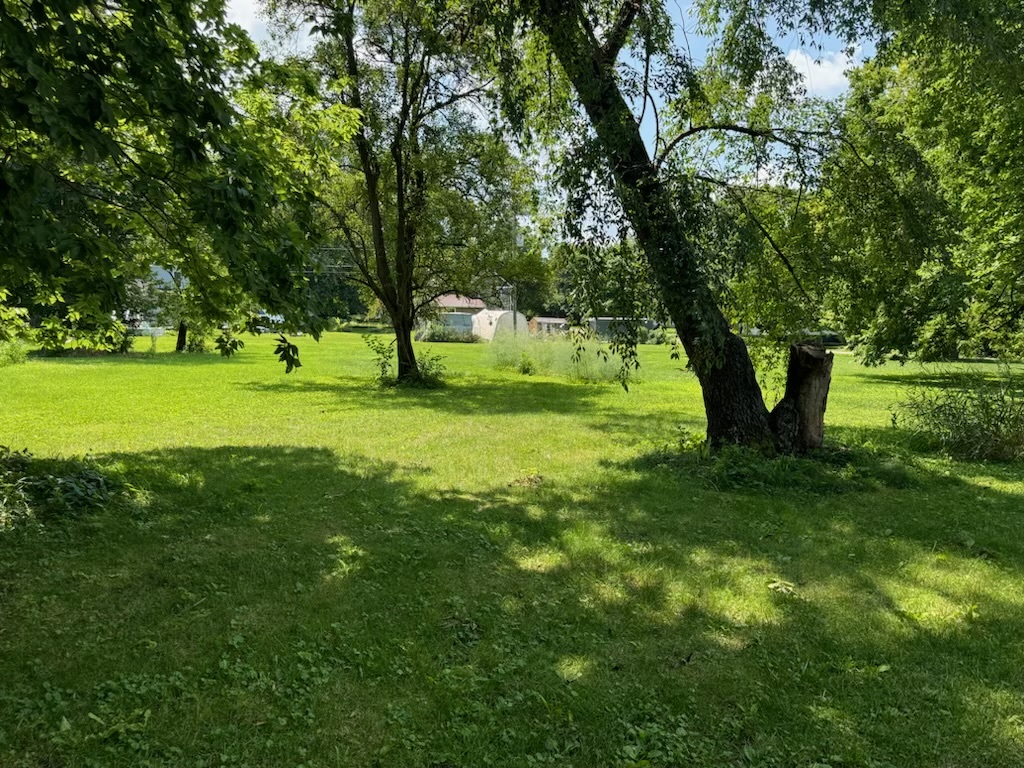 a view of a big yard with large trees